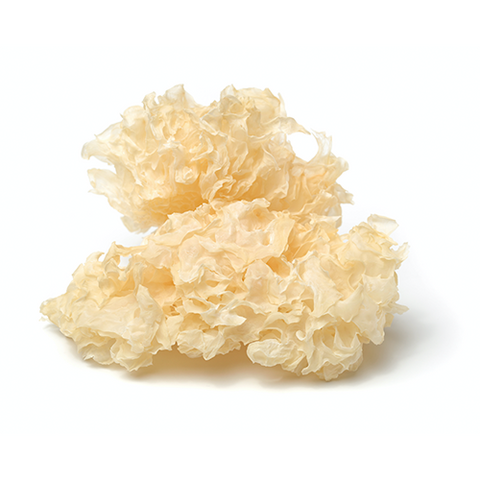 Tremella Mushroom Extract