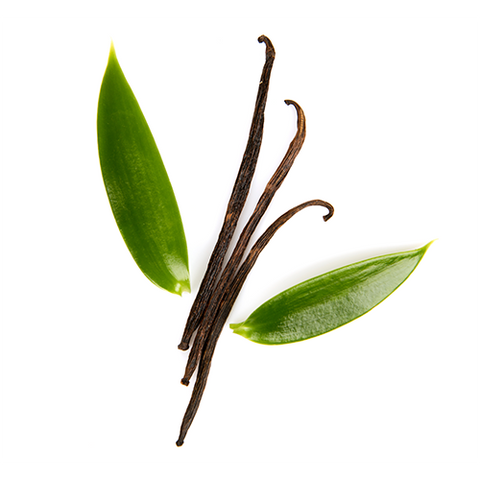 Vanilla Infused Jojoba Oil